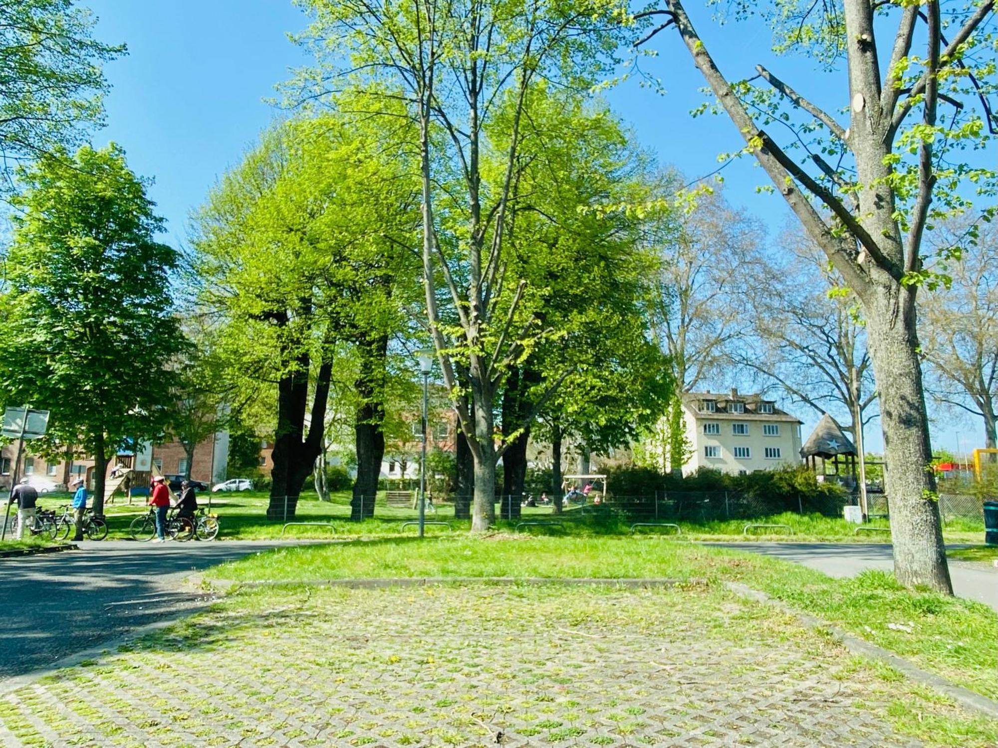 Kassel: Alles, Was Du Brauchst! 외부 사진